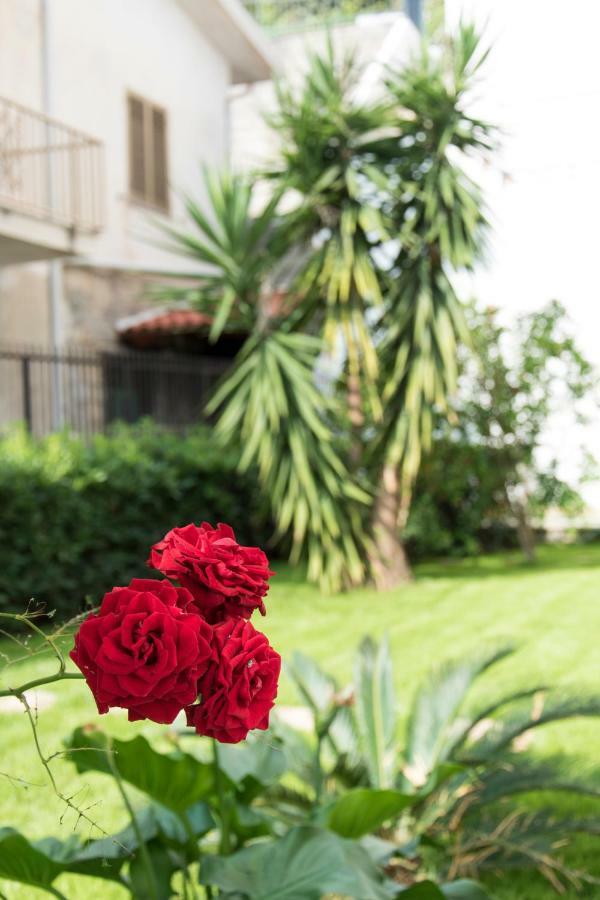 L'Oasi Di Giorgia Bed & Breakfast Cittadella del Capo Bagian luar foto