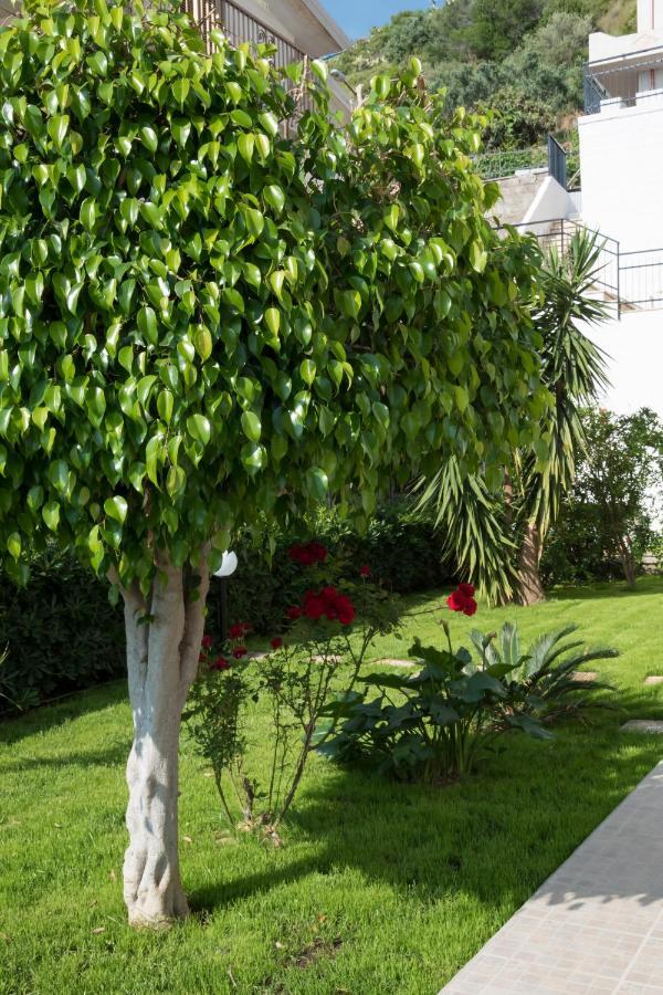 L'Oasi Di Giorgia Bed & Breakfast Cittadella del Capo Bagian luar foto